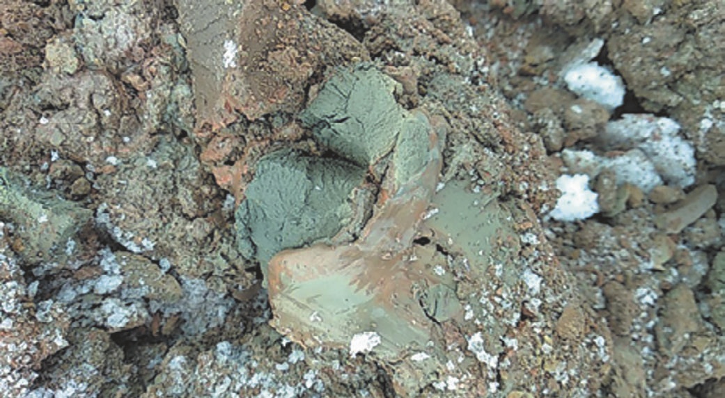 Рис. 5 Техногенные отложения преимущественно серо- зеленых тонов, что указывает на потенциально высокое содержание меди Fig. 5 Man-made deposits of predominantly gray-green shades that indicate a potentially high copper content