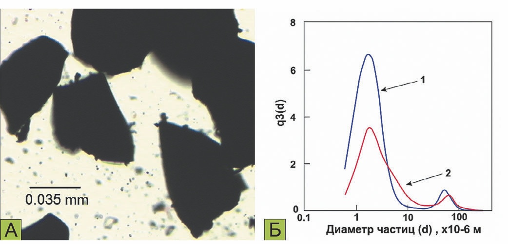 Рис. 2 Агрегация частиц минералов в полидисперсной системе: А – микрофотография системы Нефелин – Гематит; Б – функции плотности распределения частиц: 1 – исходная, 2 – в агрегационном равновесии Fig. 2 Mineral particle aggregation in a polydisperse system: A – microphotography of the nepheline – hematite system; B – Particle density function: 1 – initial, 2 – the aggregative equilibrium