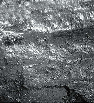 Рис. 2 Фото увеличенных фрагментов угля из пласта «Мощный», где 1 – из выбросоопасного слоя, из которого происходили внезапные выбросы метана; 2 – из невыбросоопасного слоя пласта