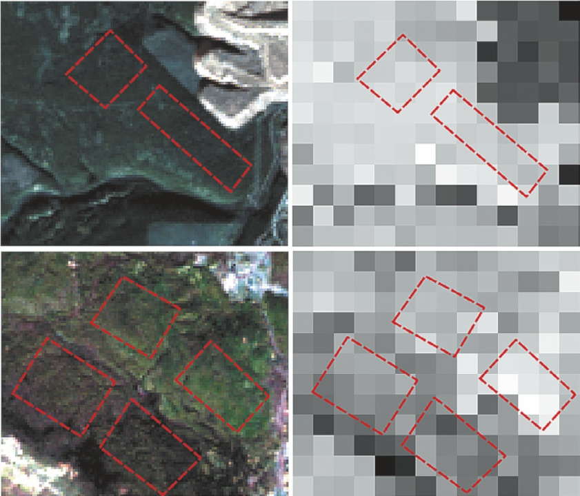 Спутниковые изображения Landsat (1) и MODIS (2) мониторинговых полигонов АО «Ковдорский ГОК» в сентябре 2019 г. (в верхнем ряду – в импактной зоне, в нижнем ряду – фоновые)