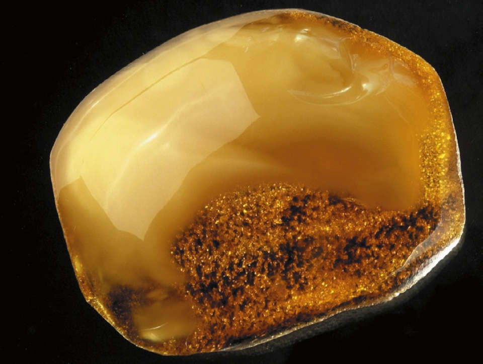 Рис. 2 Полупрозрачный или просвечивающийся янтарь, в котором находятся большие скопления пустоток, приводящих к замутнениям (облачный, бастард)