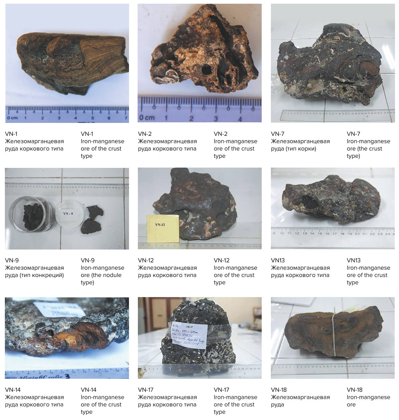 Рис. 1 Фотографии исследуемых образцов руды Fig. 1 Photographs of the studied ore samples