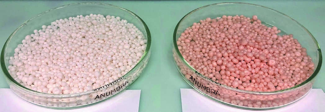 Рис. 1 Внешний вид образцов аммиачной селитры Fig. 1 External appearance of ammonium nitrate samples