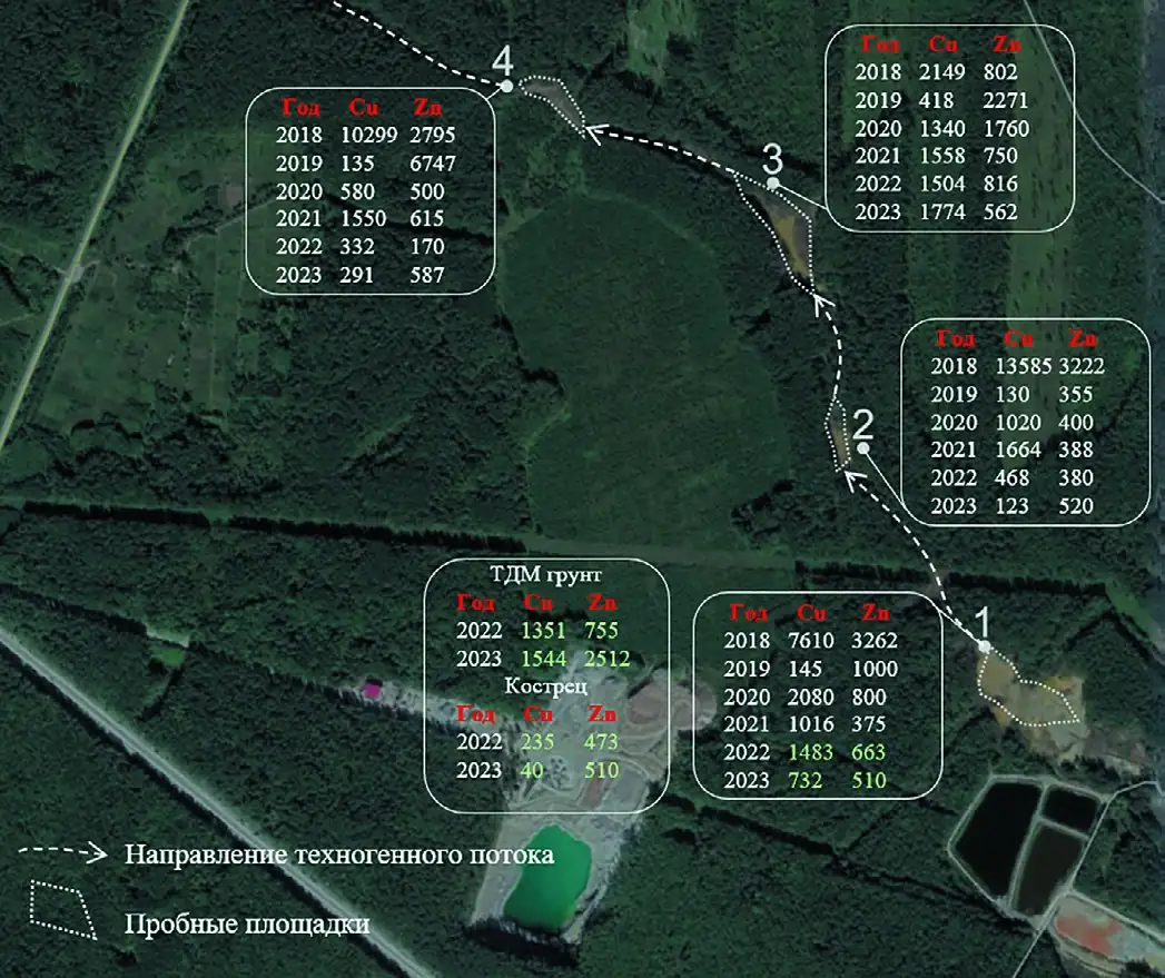 Рис. 3 Карта-схема исследований и анализ содержания Cu2+ и Zn2+ в грунте и биомассе растений, мг/кг Fig. 3 A schematic survey map and analysis of Cu2+ and Zn2+ content in soil and plant biomass, mg/kg