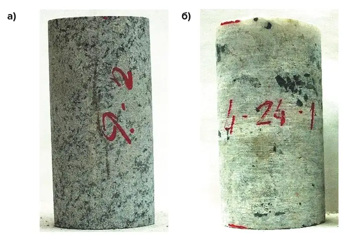 Рис. 1 Образцы, подготовленные для испытаний: а – уртит нечетко-трахитоидный мелко-среднезернистый, полевошпатовый; б – карбонатит флогопит- кальцитовый массивный, средне-крупнозернистый, с магнетитом Fig. 1 Samples prepared for testing: a – urtite indistinctly trachytoid fine-mediumgrained, feldspathic; b – carbonatite phlogopitecalcite massive, mediumcoarse- grained, with magnetite