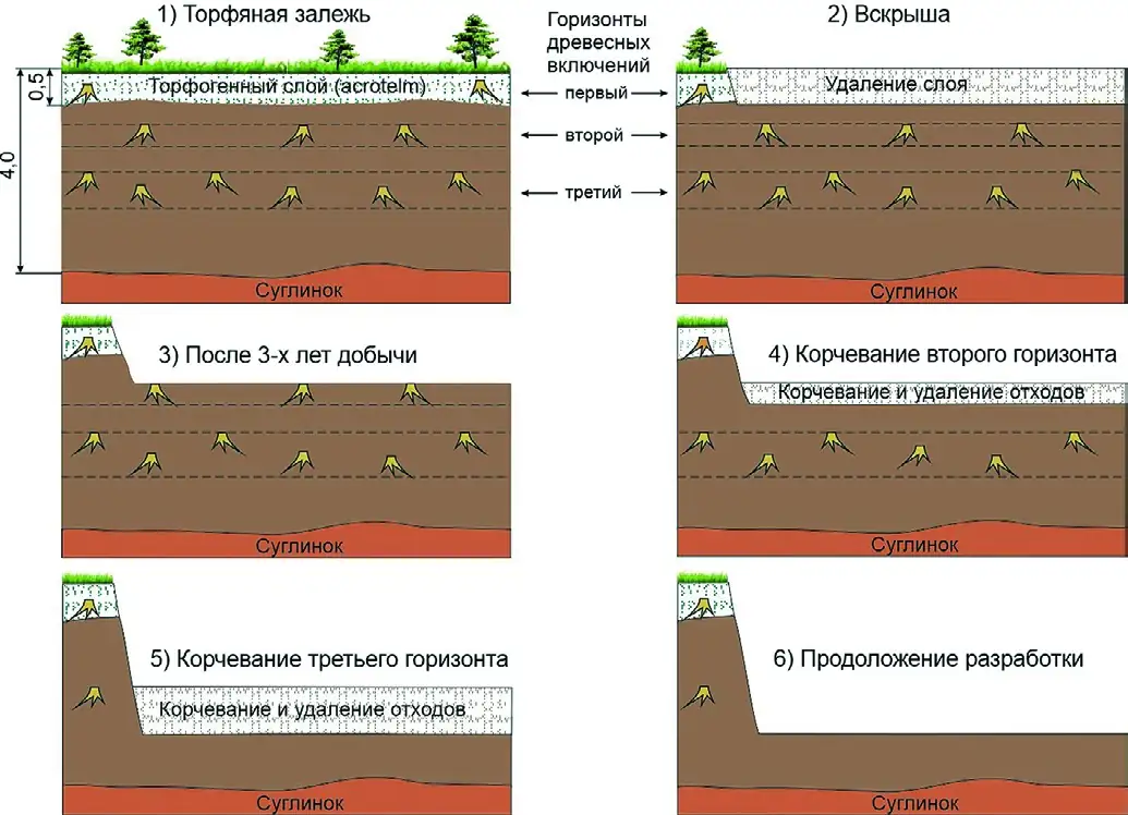 Рис. 2 Этапы комплексной разработки торфяного месторождения с последовательной добычей торфяного сырья и корчеванием древесных включений (по горизонтам) Fig. 2 Stages of complex development of a peat deposit with sequential extraction of peat raw materials and stump extraction of wood remains (by layers)