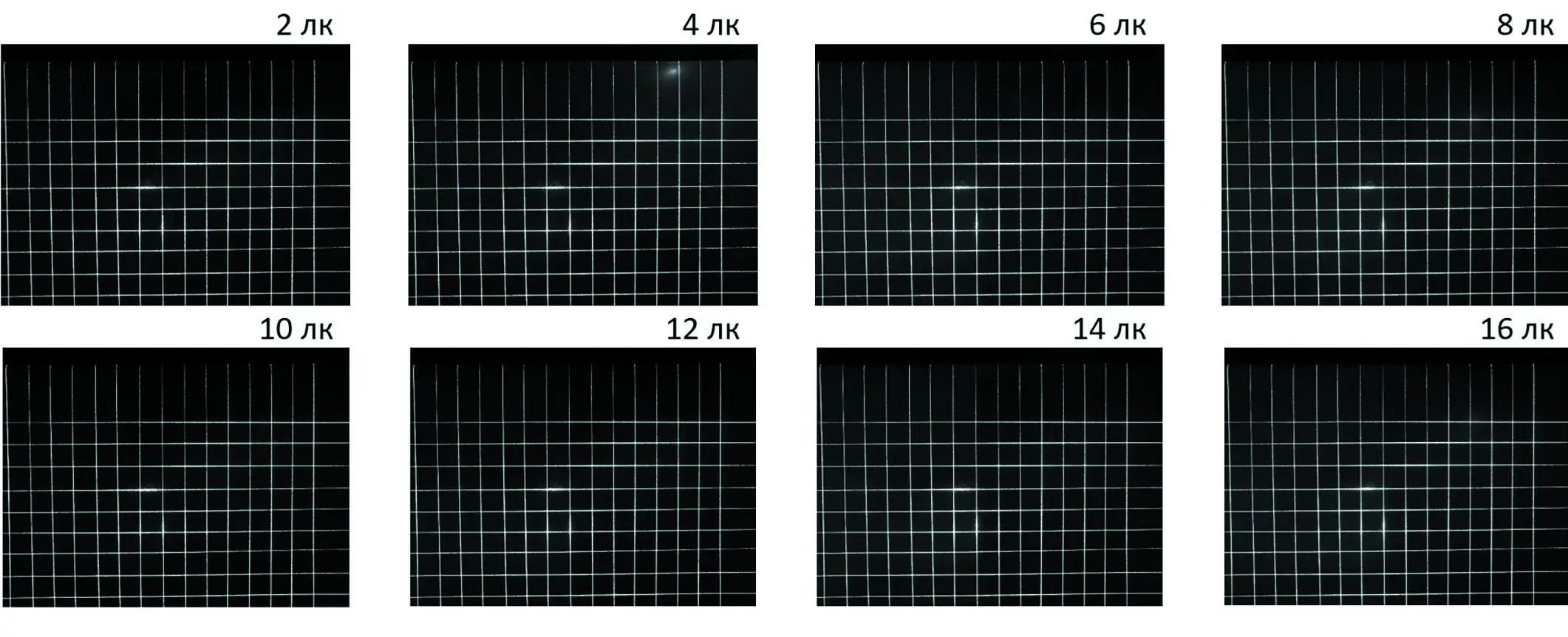 Рис. 3 Изображения лазерной сетки, полученные с камеры при освещённости в диапазоне значений 2…16 лк Fig. 3 Laser grid images obtained with a camera within the illumination intensity range from 2 to 16 lx
