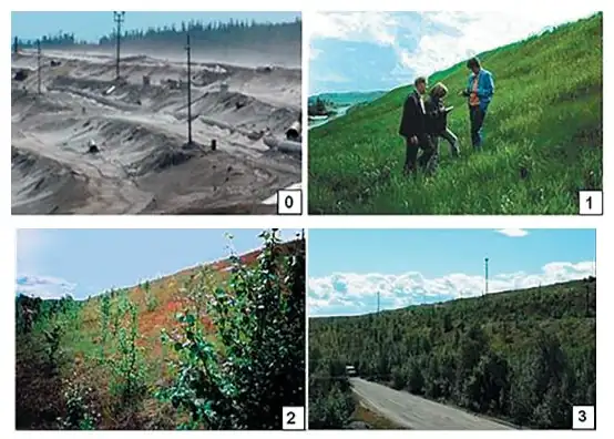 Рис. 1 Создание растительного покрова на складированных отходах  переработки руд Хибинской группы месторождений:  1 – первое десятилетие существования сеяного злакового  фитоценоза; 2 – переход от луговой к лесной стадии сукцессии,  формирование ярусной структуры;  3 – формирование фитоценоза со структурой окружающего  природного ландшафта Fig. 1 Creation of the vegetation cover on the dumped ore processing  wastes of the Khibiny group of deposits:  1 - the first decade of existence of the artificial gramineous  phytocenosis; 2 - transition from the meadow to the forest  succession stage, formation of the tier structure;  3 - formation of the phytocenosis with the structure of the  surrounding natural environment