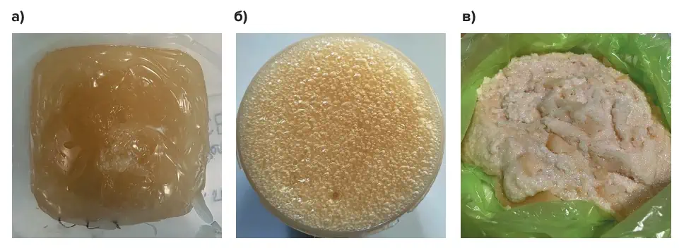 Рис. 1 Внешний вид объектов исследования:  а – эмульсионная матрица;  б – газифицированная эмульсия (ПЭВВ);  в – некондиционная  закристаллизовавшаяся эмульсия Fig. 1 Visual appearance of the test specimens:  а – emulsion matrix;  б – gasified emulsion (industrial emulsion  explosive);  в – substandard crystallized emulsion