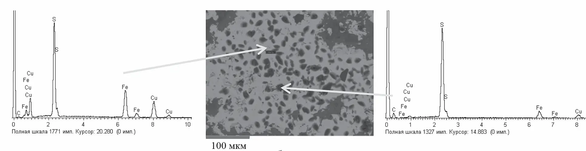 Рис. 4 Микрофотография участка поверхности аншлифа  поликомпонентной руды с зерном халькопирита после контакта  c ПирроДТК (б) и энергодисперсионные спектры халькопирита (а)  и фазы адсорбированного реагента (в) (электронный микроскоп  LEO 1420VP) Fig. 4 A microphotograph of a section of a multicomponent ore polished  section surface with a chalcopyrite grain after contact with PyrrhoDTC (в) and energy-dispersive spectra of chalcopyrite (a)  and the adsorbed reagent phase (в) (LEO 1420VP electron  microscope)