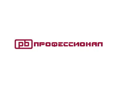 Профессионал